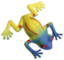 Load image into Gallery viewer, Toysmith Ginormous Grow Frog