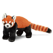 Load image into Gallery viewer, Lifelike Plush Red Panda