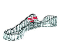 Load image into Gallery viewer, Cyclone Roller Coaster