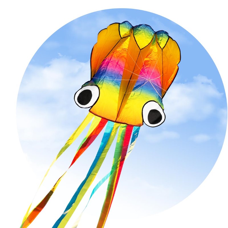 Rainbow Octopus Kite