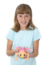 Load image into Gallery viewer, Toysmith Ginormous Grow Frog
