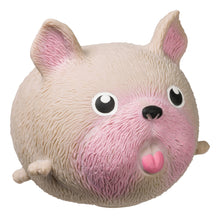 Load image into Gallery viewer, Skwishy 4.5" Pet Dogs, Asst, Stretch/Squish/Squeeze

