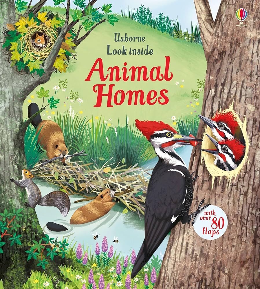 Look Inside Animal Homes