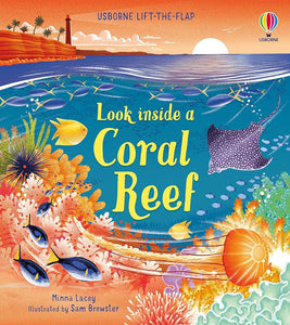 Look inside a Coral Reef