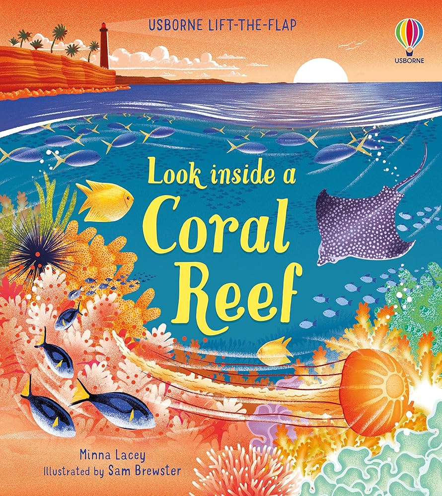 Look inside a Coral Reef