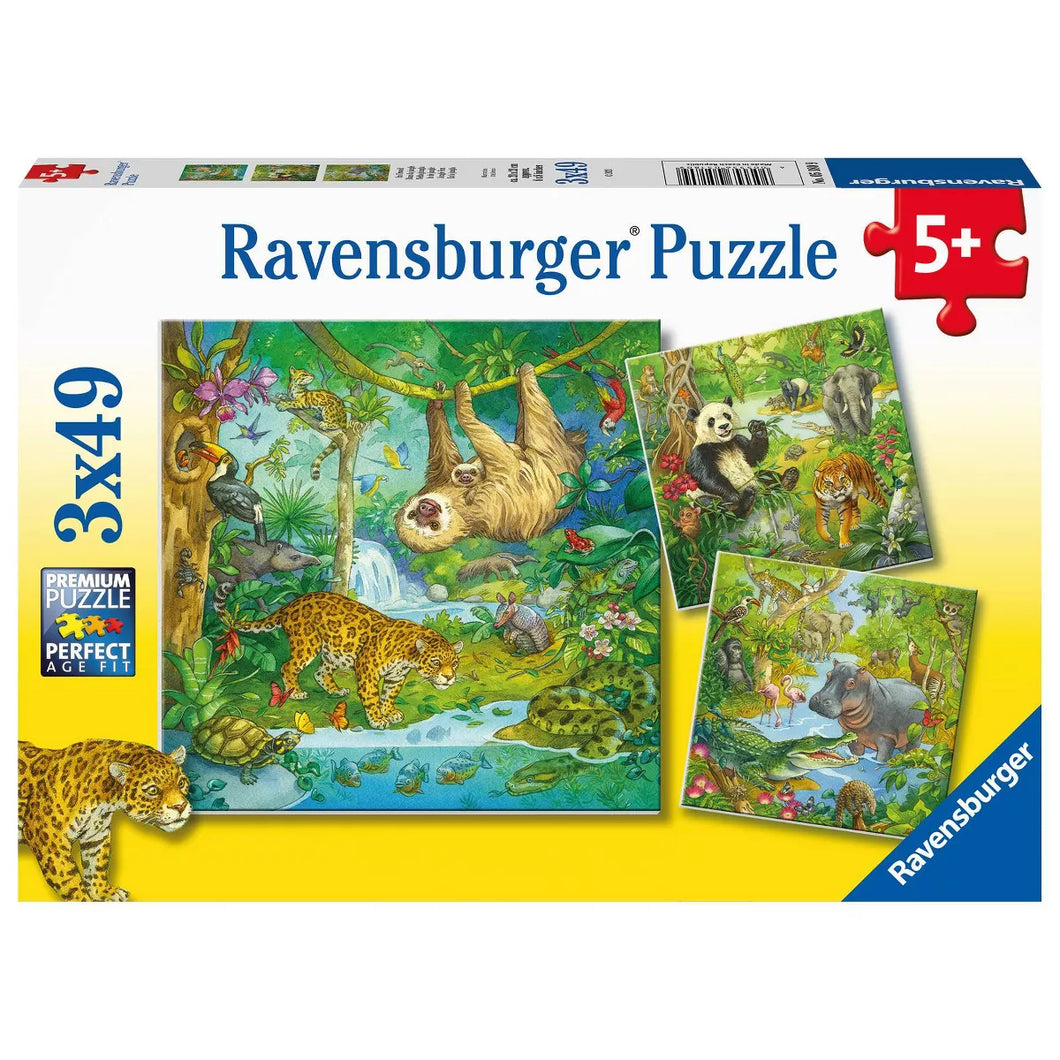 Jungle Fun 3 x 49 pc Puzzle