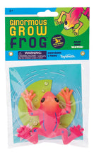 Load image into Gallery viewer, Toysmith Ginormous Grow Frog
