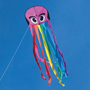 Rainbow Octopus Kite