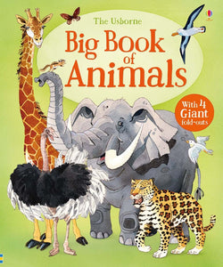 The Usborne Big Book Of Animals