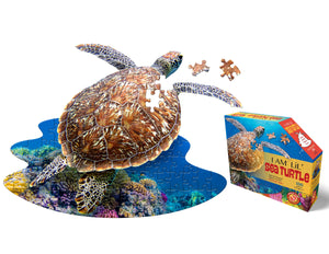 I am Lil Sea Turtle
