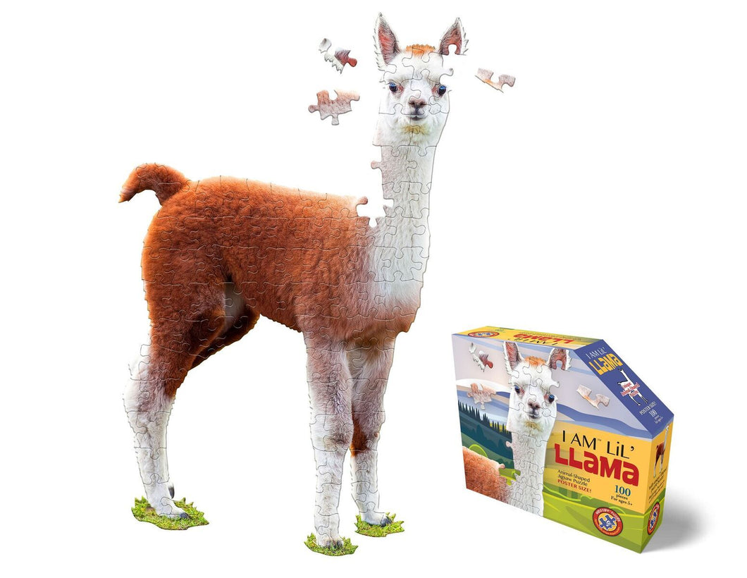 I am Lil Llama
