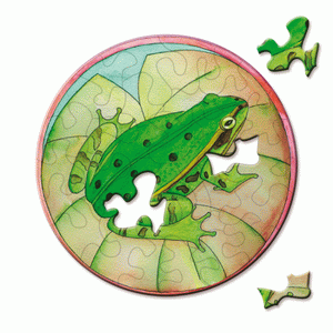Pocket Picoli Puzzles Animal & Nature (Variety)